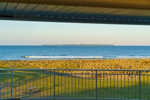 Property grounds - Iconic Blue Beachfront Studio (Papamoa)