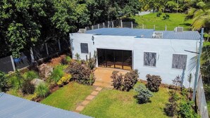 Une maison moderne avec un toit plat, de grandes fenêtres et une allée pavée.