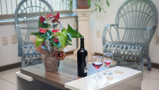 A dining table with a bottle of wine, two wine glasses, and a potted plant. - Hotel Caçula Do pampa (Sao Gabriel)