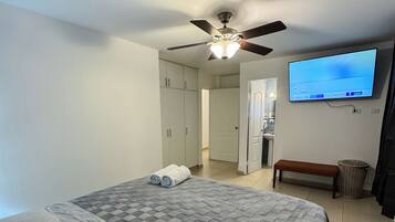 A bedroom with a bed, a ceiling fan, a TV, and a bathroom in the background.