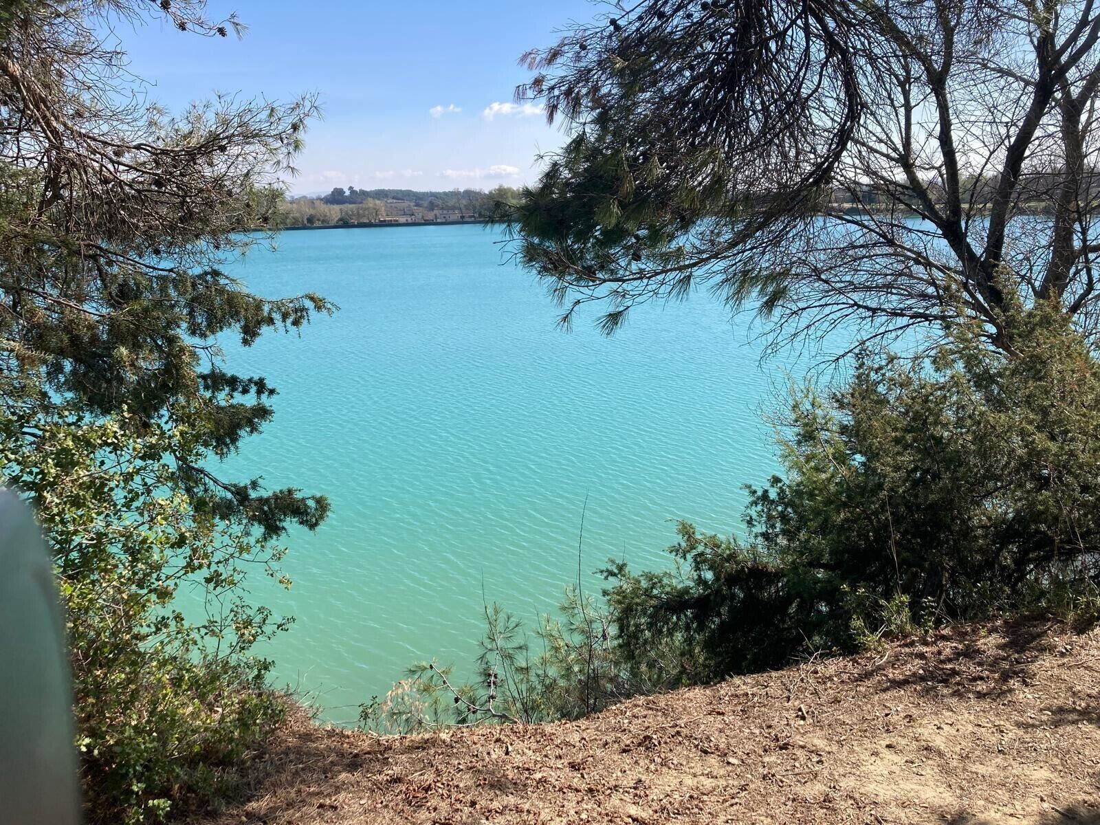 A lake surrounded by trees and a clear sky.