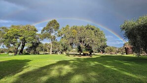 Een park met een regenboog, bomen en een gazon.
