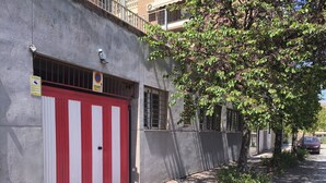 A building with a red and white striped garage door, a security camera, and a tree in front.