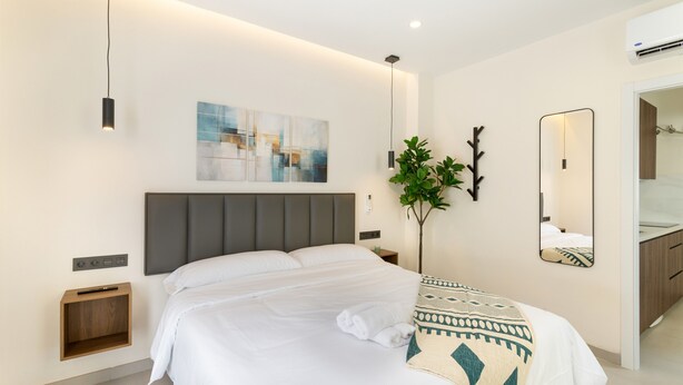 Una habitación de hotel moderna con una cama grande, mesitas de noche, un espejo adosado a la pared y una planta.
