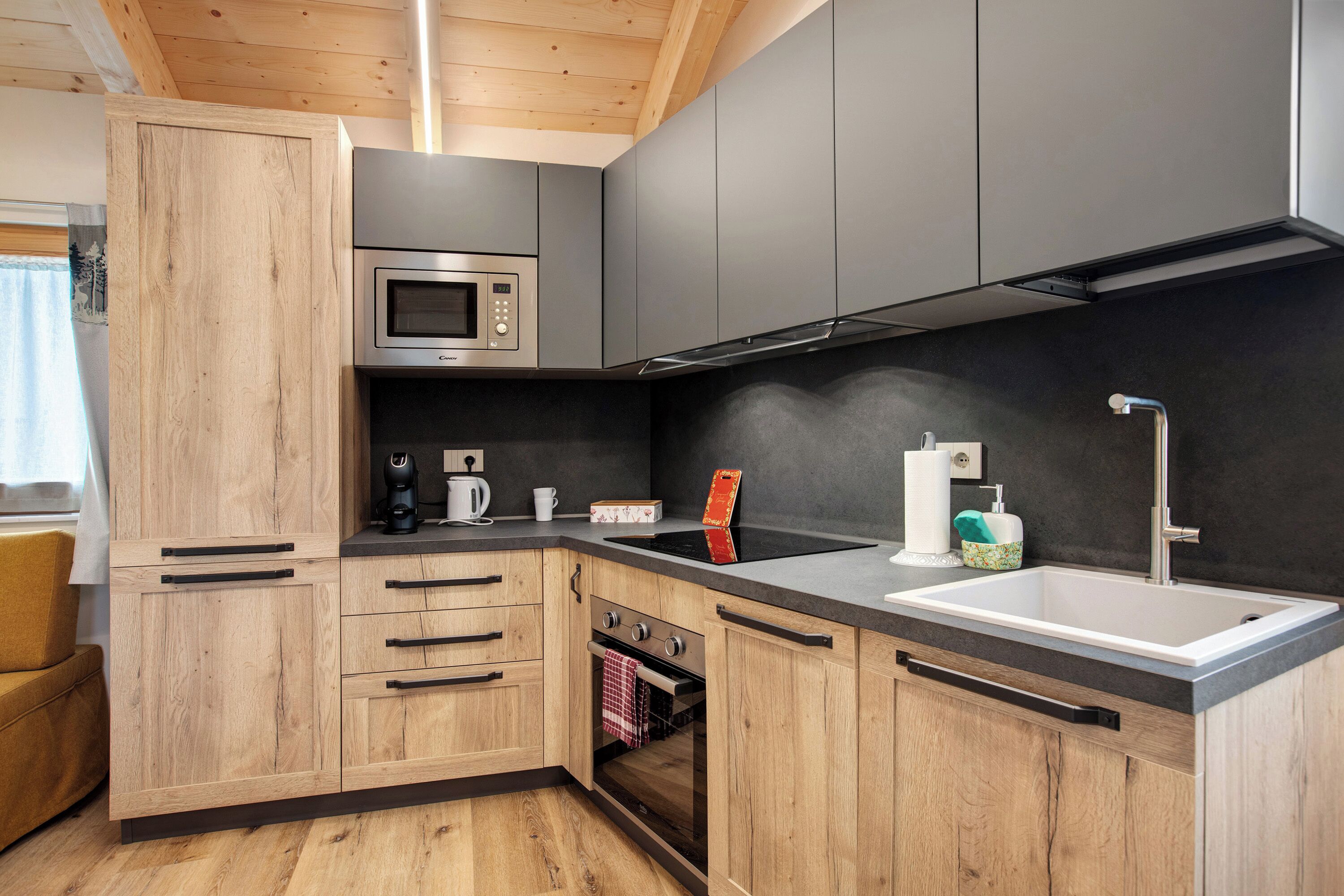 Kühlschrank, Mikrowelle, Ofen, Herdplatte