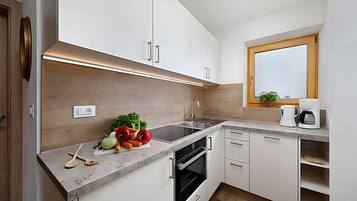 Fridge, oven, stovetop, dishwasher