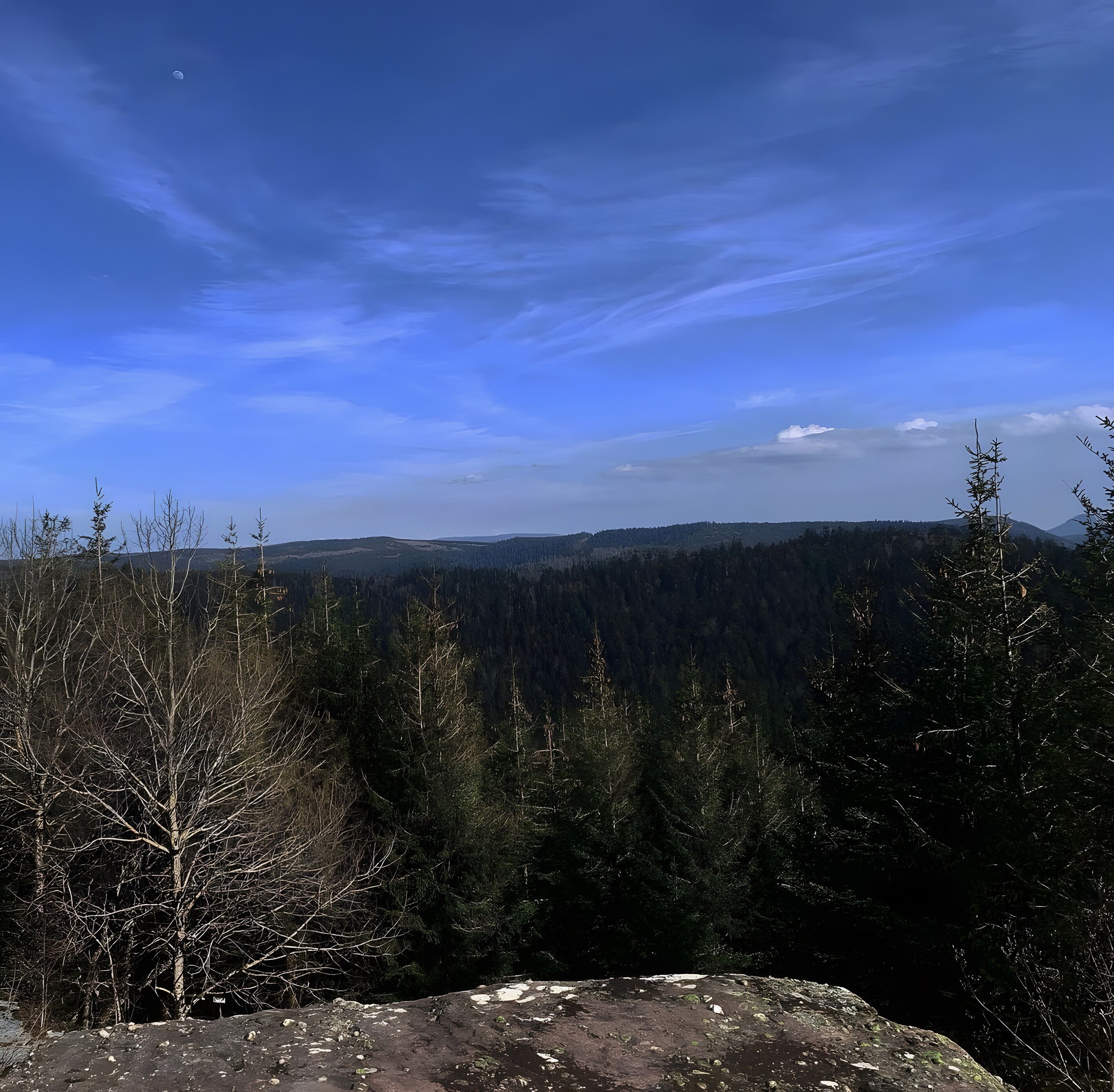 Een bergachtig landschap met dichte bossen en een heldere lucht.