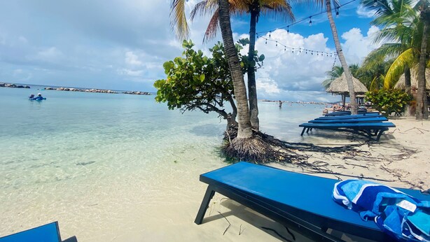 A beach with clear water, palm trees, and blue lounge chairs. - Tropical Luxury with Private Pool & Recreational Opportunities! (Willemstad)