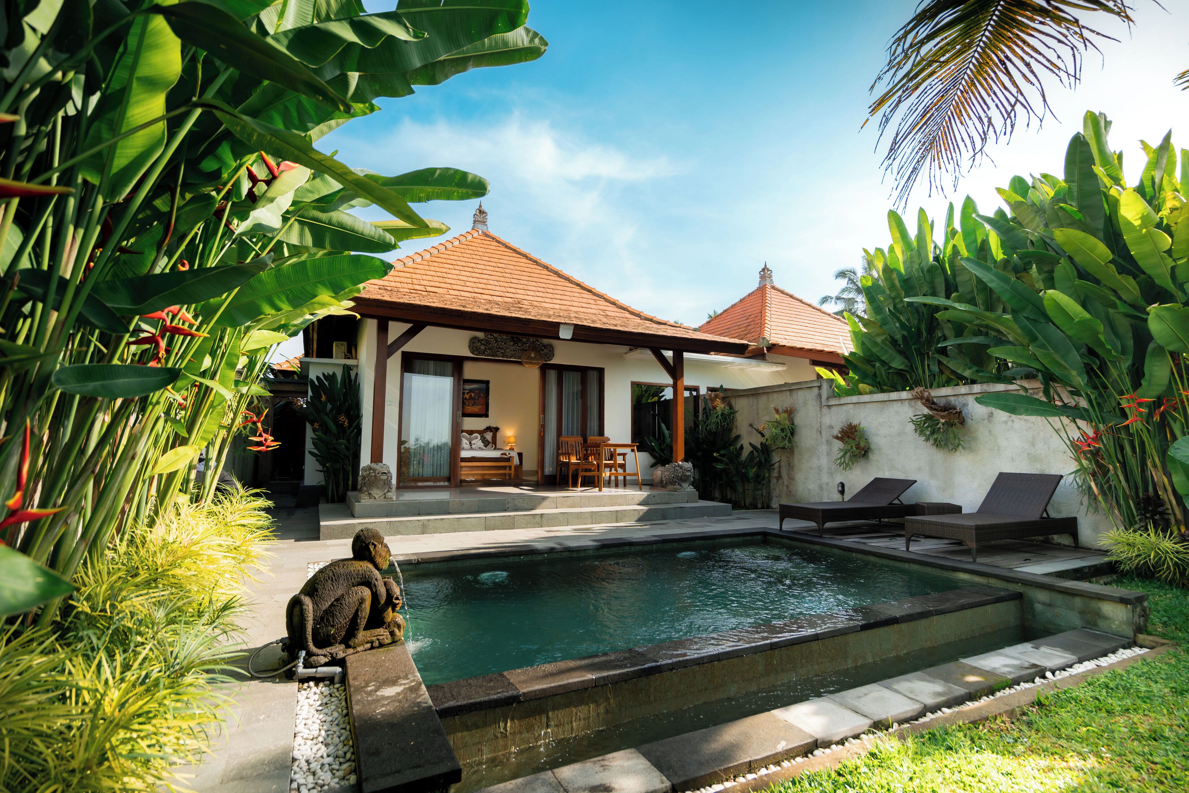 A poolside area with a house, lounge chairs, and tropical plants.