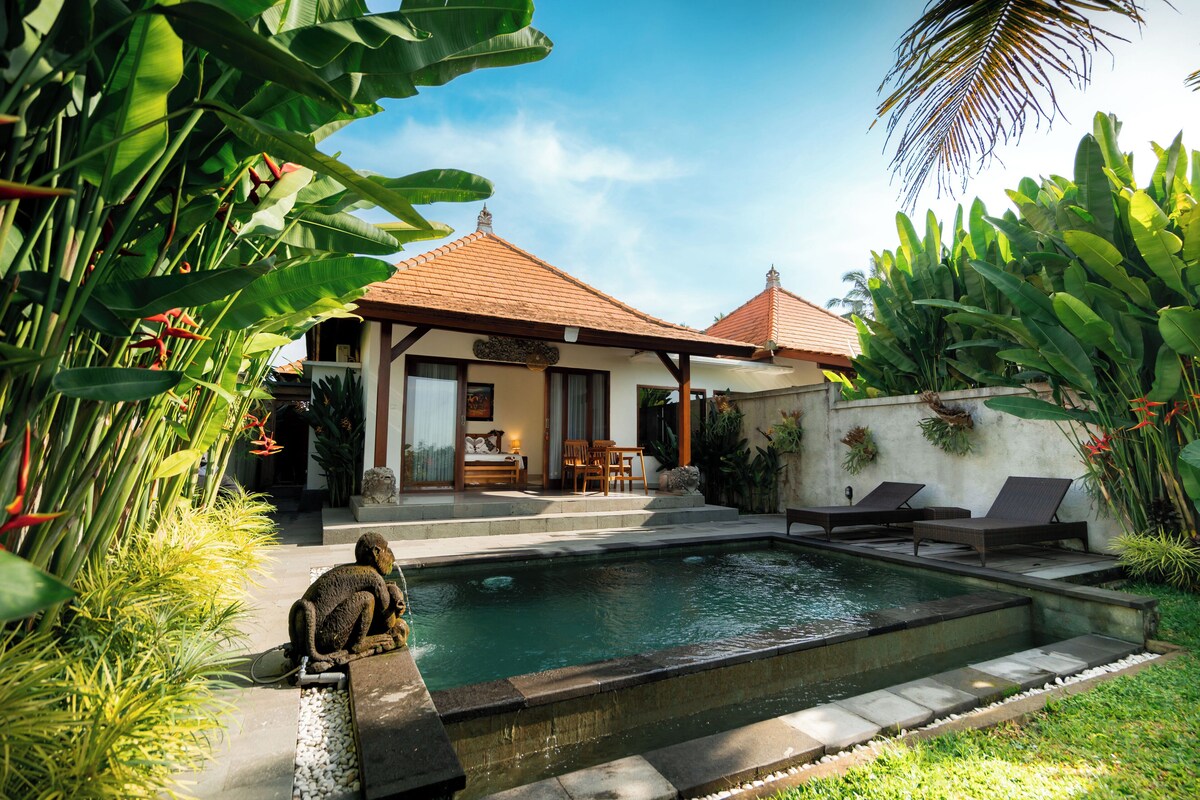A poolside area with a house, lounge chairs, and tropical plants.