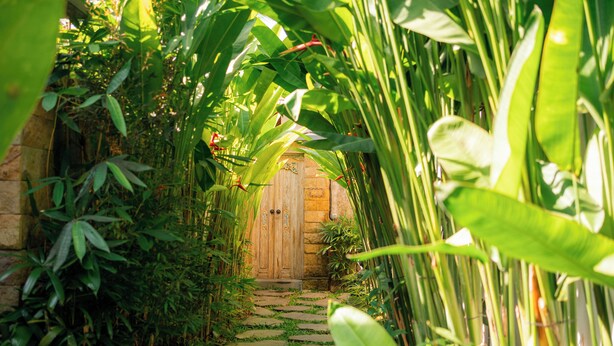 A stone pathway leading to a wooden door surrounded by lush greenery. - Kaki Uma Villa (Sebatu)