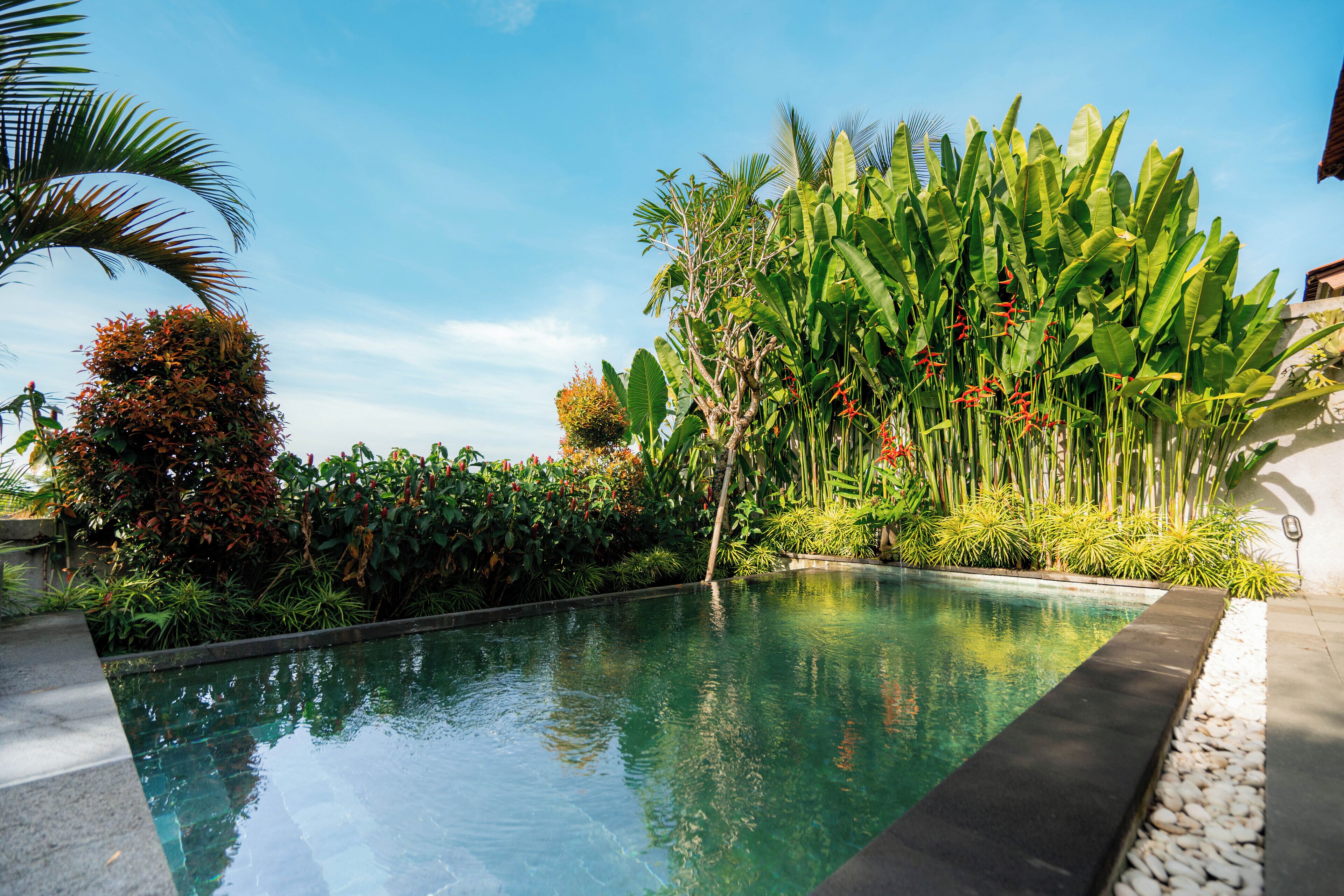 Kolam renang outdoor