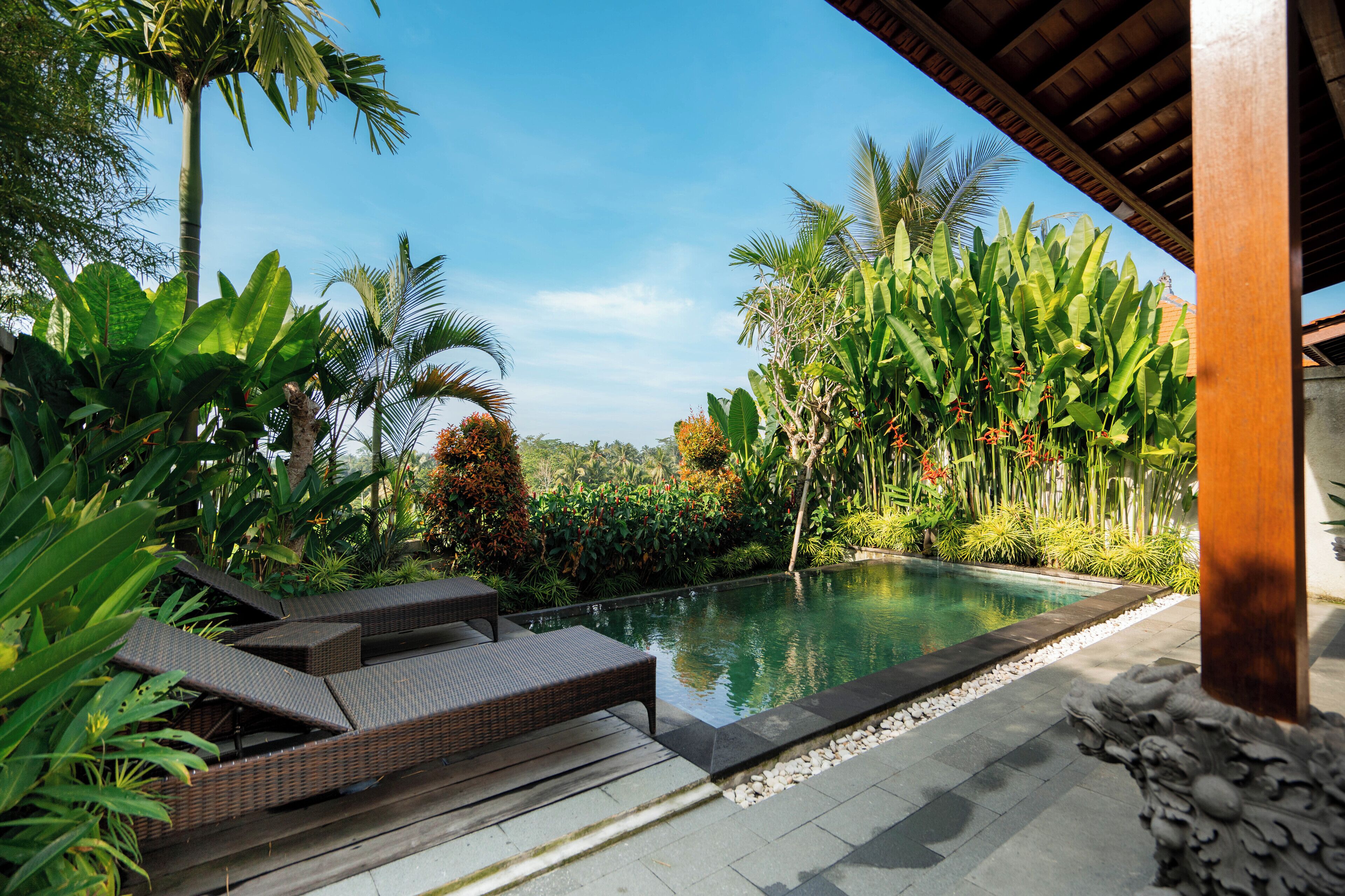 A poolside area with lounge chairs and a clear view of the pool.