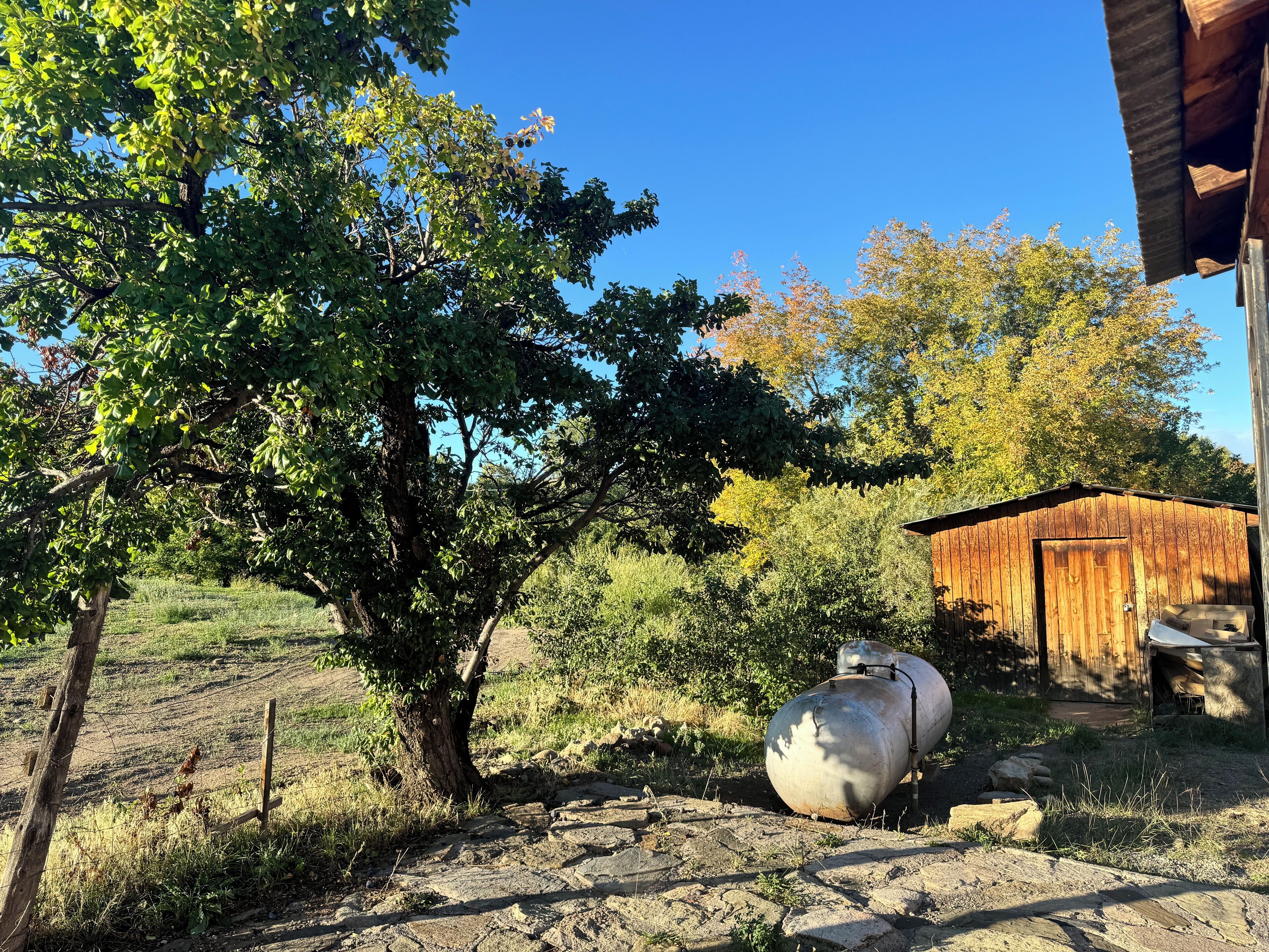 Un granero de madera rústico con un tanque metálico grande en un entorno rural.