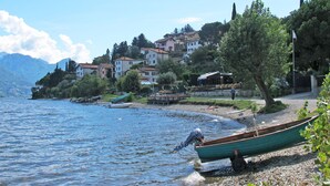 Vista del lago con barcos, un árbol y edificios al fondo.
