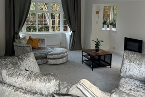 TV, fireplace