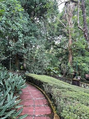 Área da propriedade