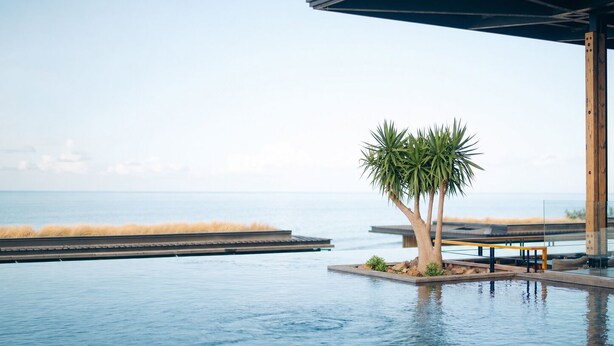 A infinity pool with a view of the ocean, a palm tree, and a covered seating area. - WOOD HOTEL & SPA (Trois-Bassins)