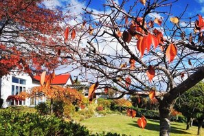 住宿地面