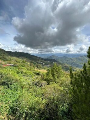 Miscellaneous - Fairy Garden Resort Kundasang (Kundasang)