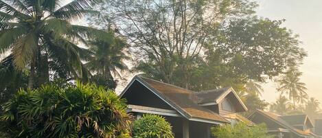 A bungalow with a sloped roof, surrounded by lush greenery and palm trees.