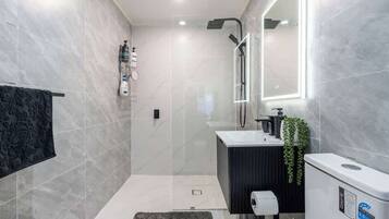 Shower, hair dryer