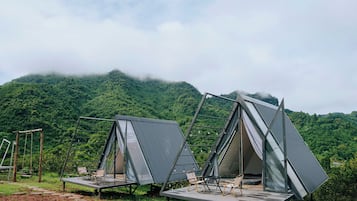 Cabin trăng mật | Minibar, trang trí khác biệt, trang bị nội thất với thiết kế riêng biệt