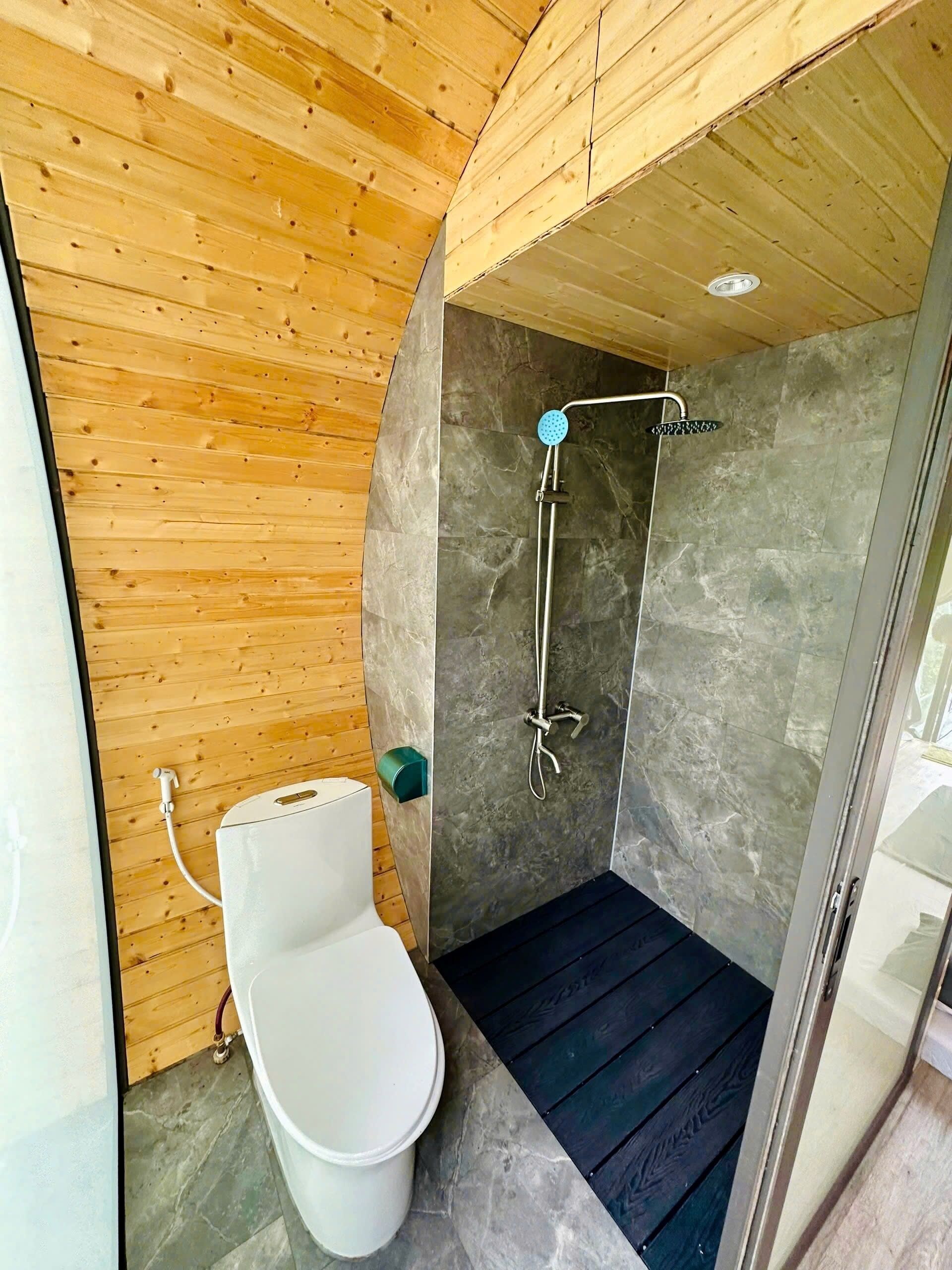 A modern bathroom with a wooden ceiling, a shower with a handheld showerhead, and a toilet.