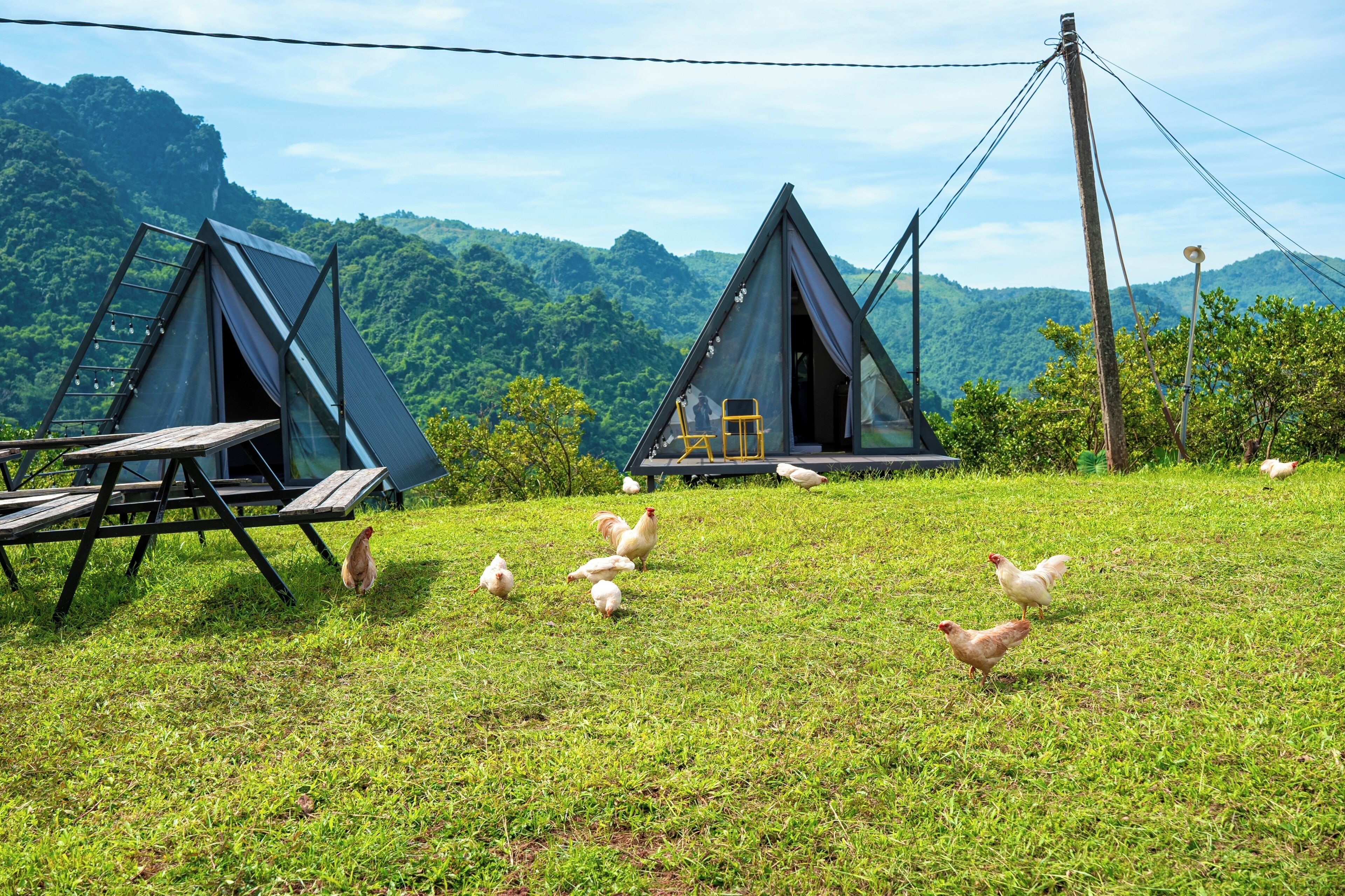 A rural accommodation with two triangular tents, a picnic table, and chickens on a grassy field with a mountainous backdrop.