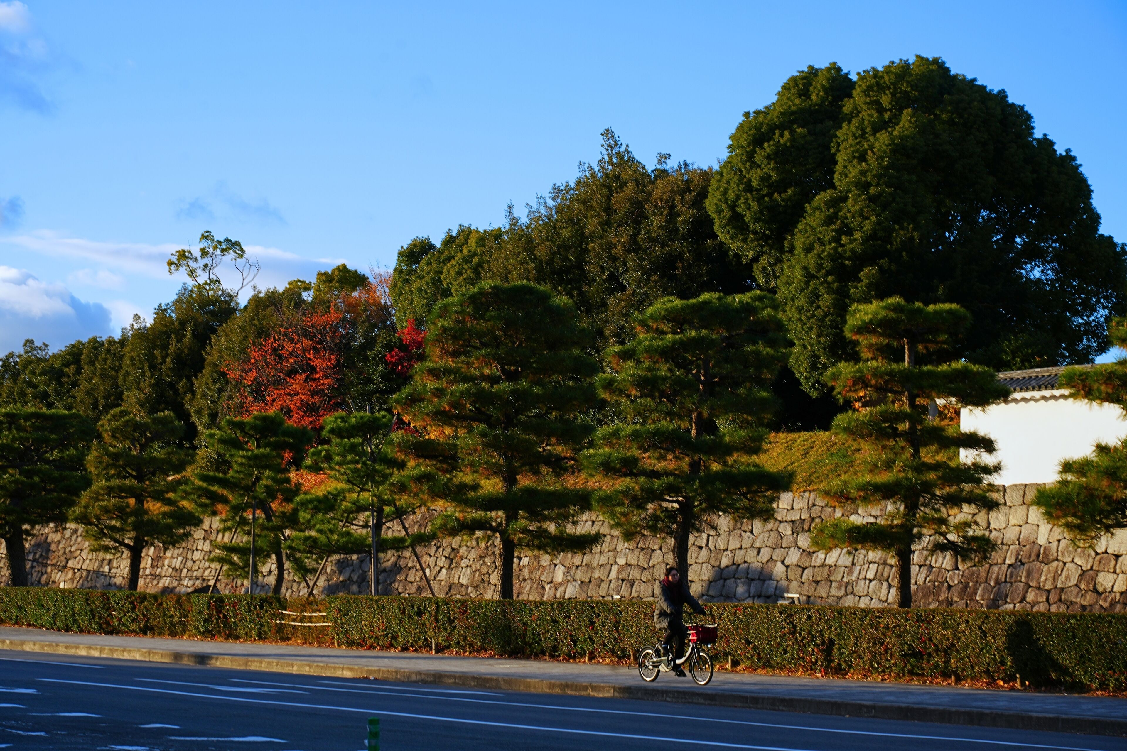Photo - Jyu KyotoOgawasyouyaku VILLA