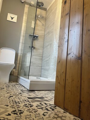 Ducha, secador de pelo, toallas, papel higiénico