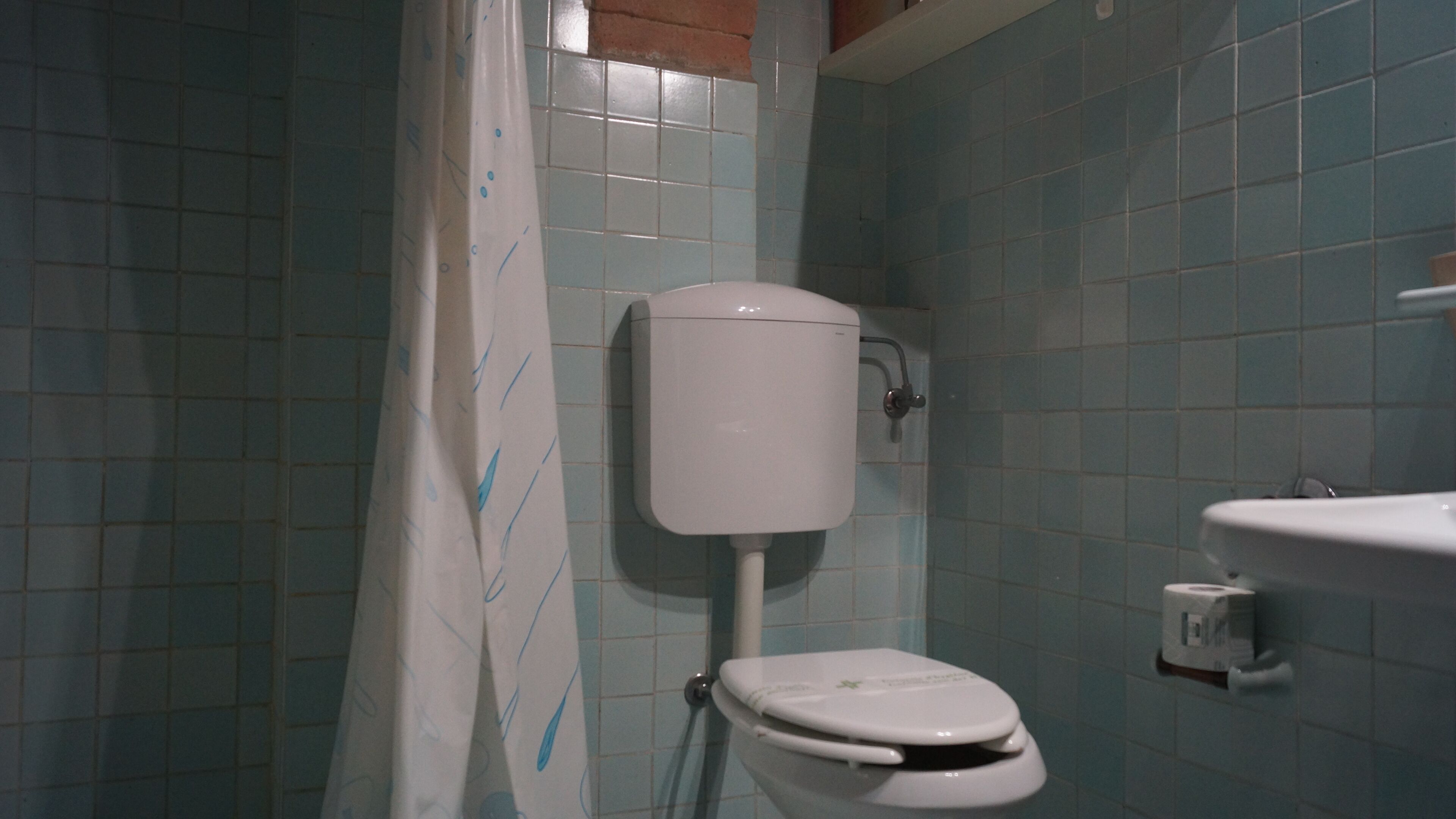 Een badkamer met toilet, douchegordijn en wastafel.