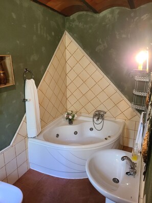 House, 3 Bedrooms, Accessible, Smoking | Bathroom - Warm Holiday Home With Private Pool in Andalucia Center (Algarinejo)