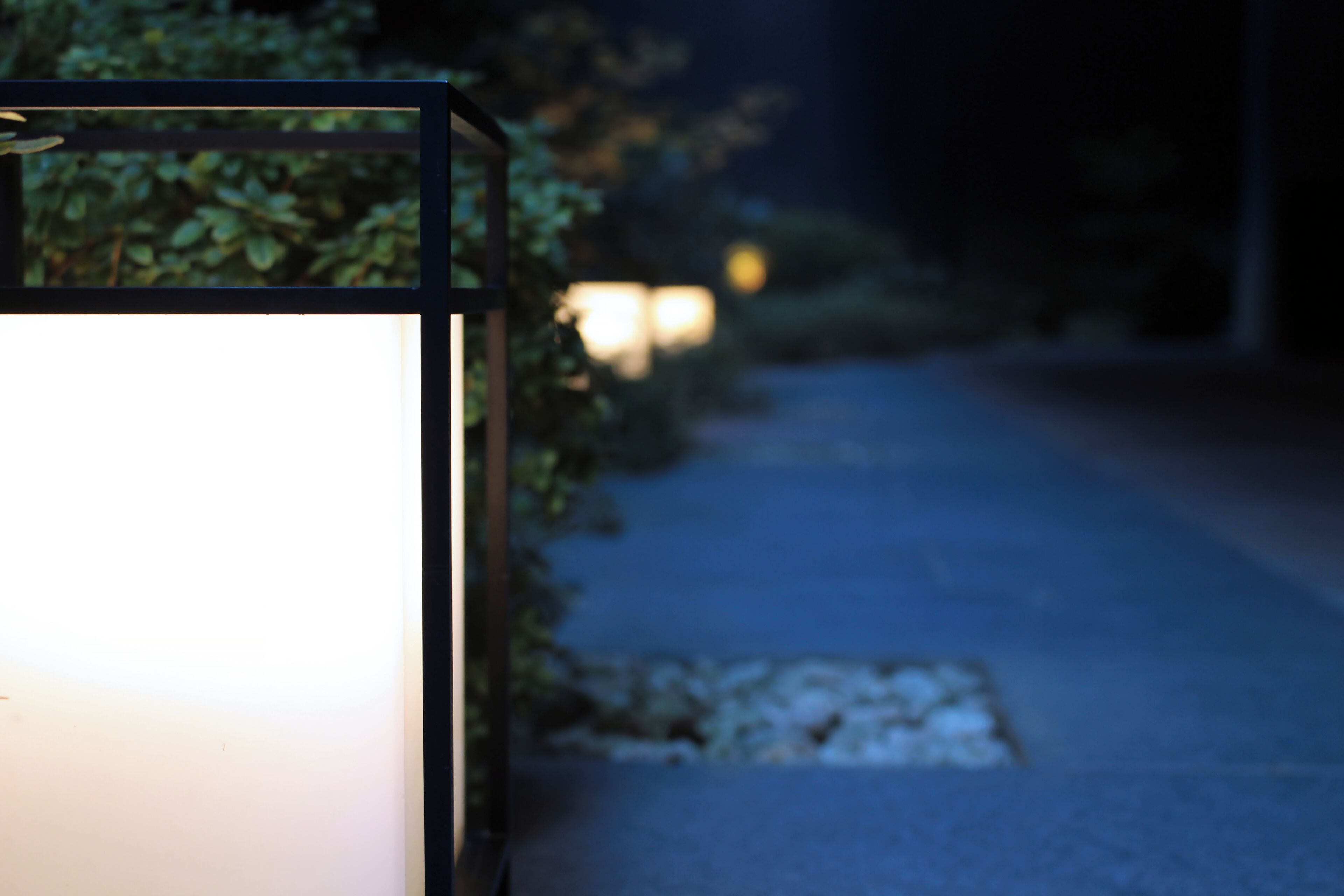 A night scene with a lit lantern on a sidewalk, surrounded by foliage.