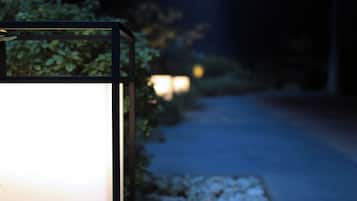 A night scene with a lit lantern on a sidewalk, surrounded by foliage.