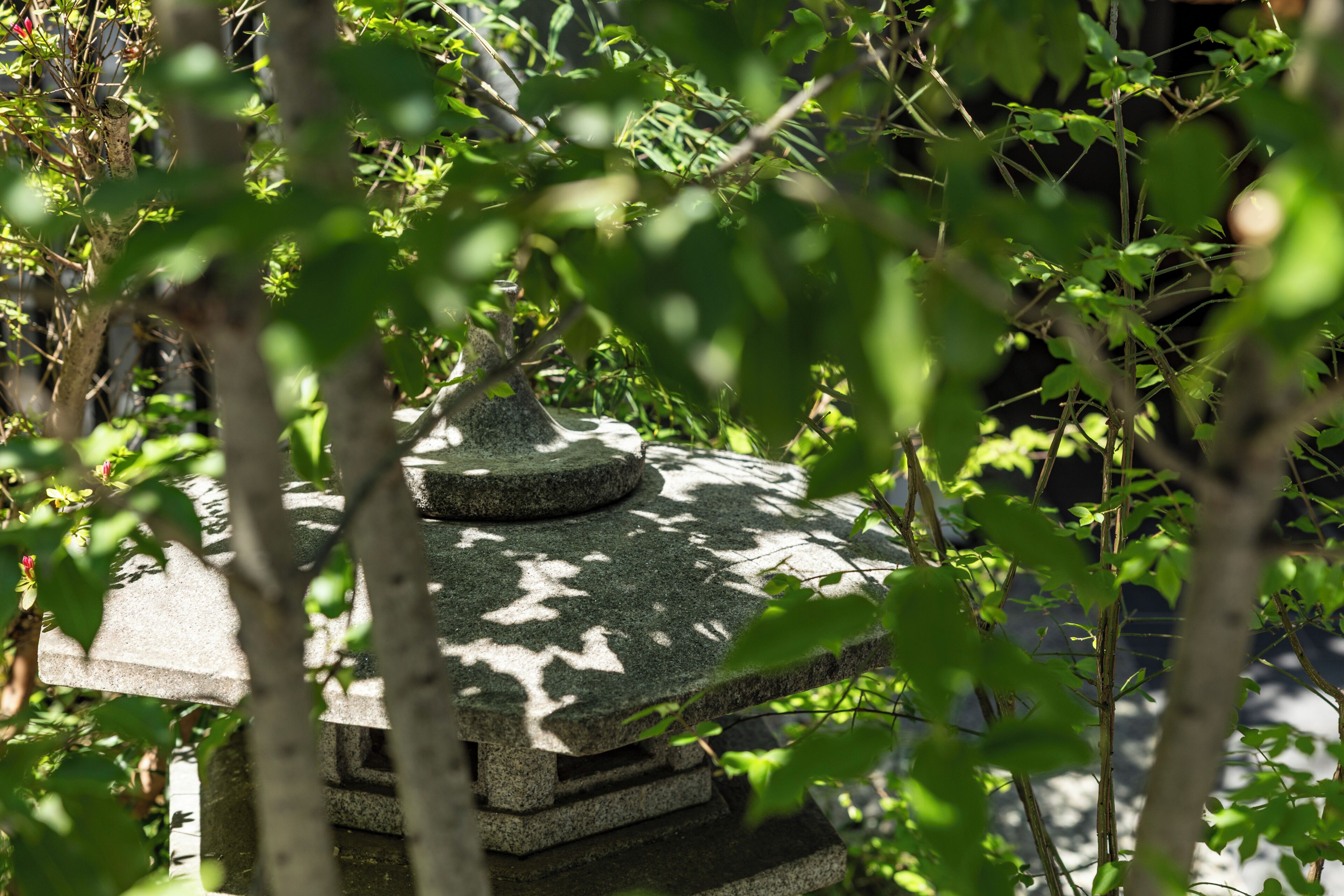 Une structure en pierre surmontée d’une partie arrondie, entourée d’un feuillage dense.