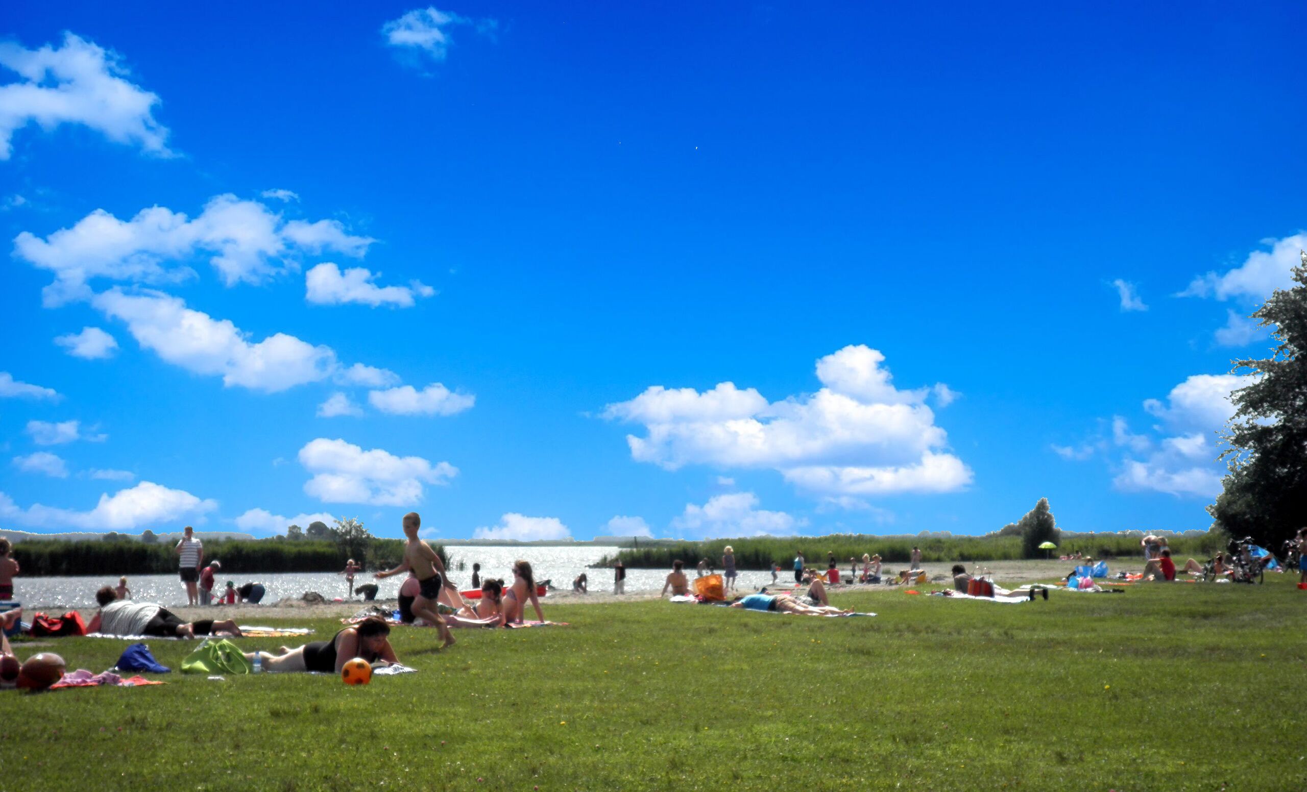 ハウス 2 ベッドルーム パティオ ガーデンビュー | ビーチ