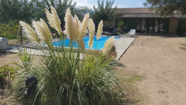 Ett poolområde med en sandstig, en byggnad med ett tak täckt av tegelpannor och en klarblå himmel.