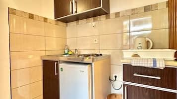 Standard Apartment | Private kitchen | Fridge, electric kettle, cookware/dishes/utensils