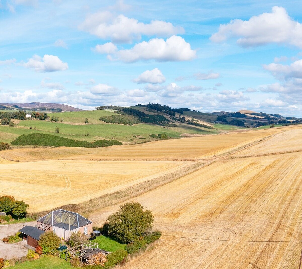 オーナーのプロフィール画像