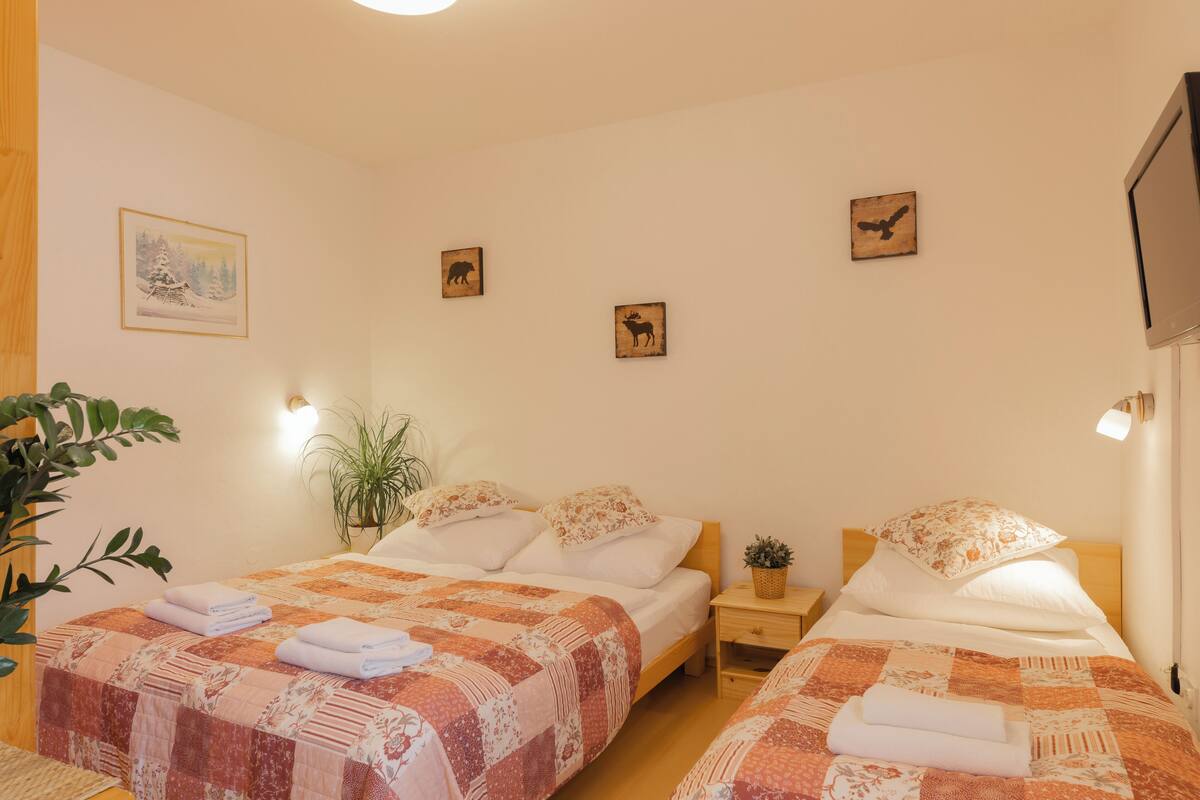 A hotel room with two beds, each with a quilted bedspread and pillows. There are wall-mounted pictures of animals, a potted plant, and a flat-screen TV on the wall.
