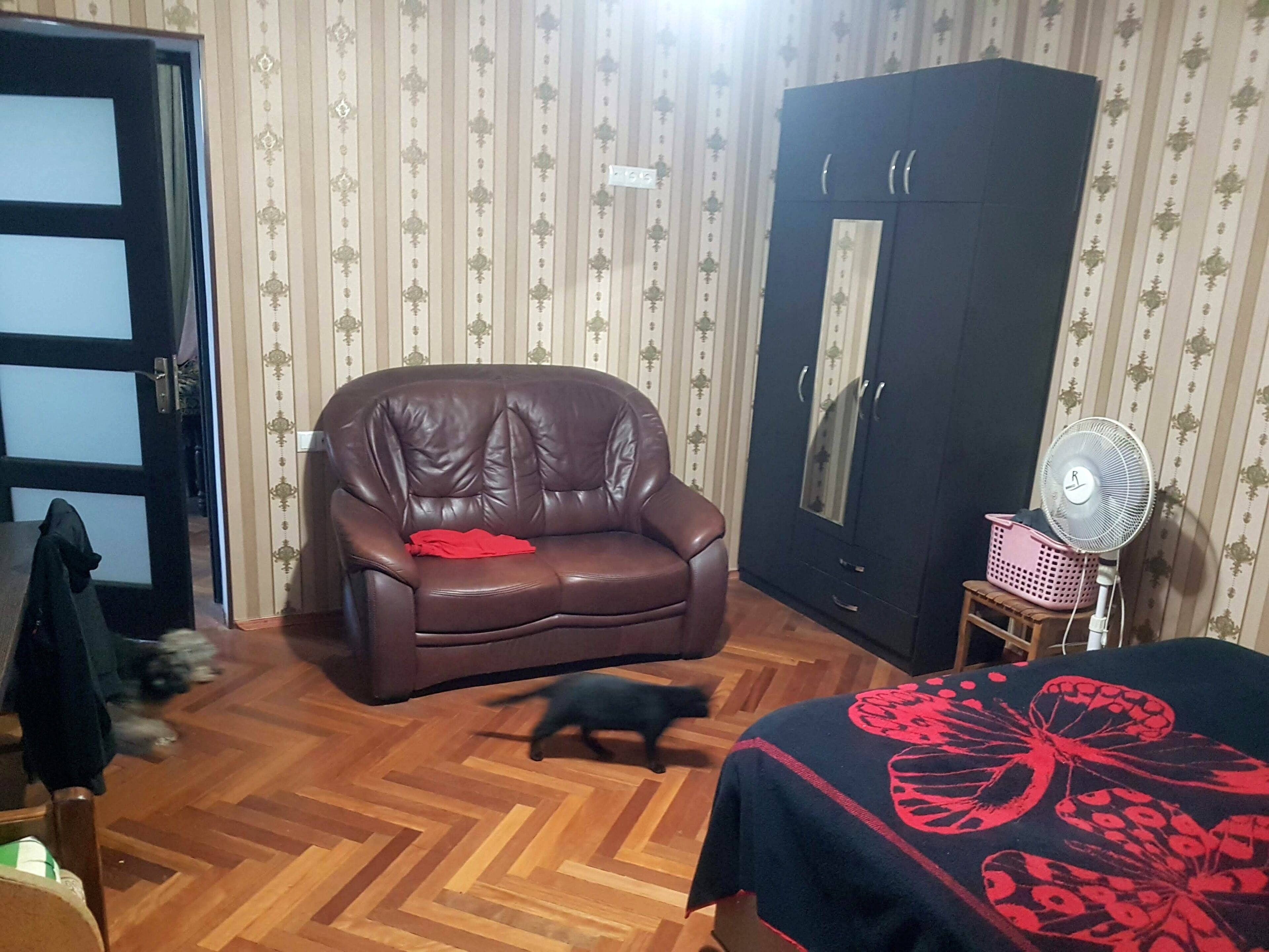 Um quarto com um sofá de couro marrom, um gato preto no chão, piso de madeira em padrão herringbone, um guarda-roupa preto e um ventilador de chão.