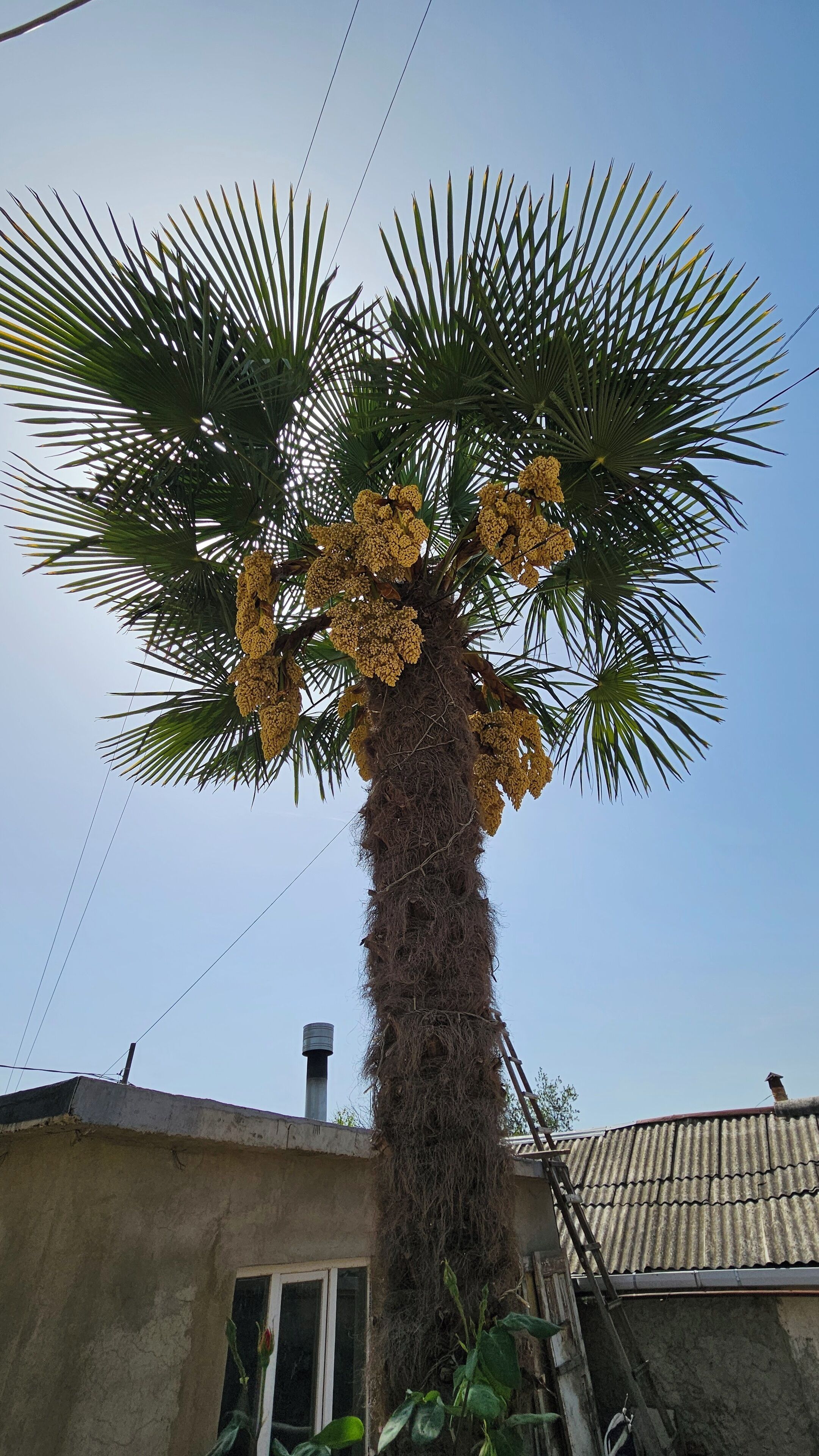 舒适三人房, 外廊, 城市景观 | 露台