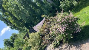 Property grounds - Le Calme Complet - Absolute peace and quiet (LINDRY)