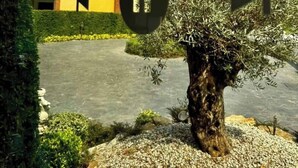 Μια οικιστική περιοχή με ένα σπίτι στην πρόσοψη του οποίου αναγράφεται η επιγραφή «COTTAGEPINE» και μια πινακίδα που γράφει «Ήρθε η ώρα για τσάι».