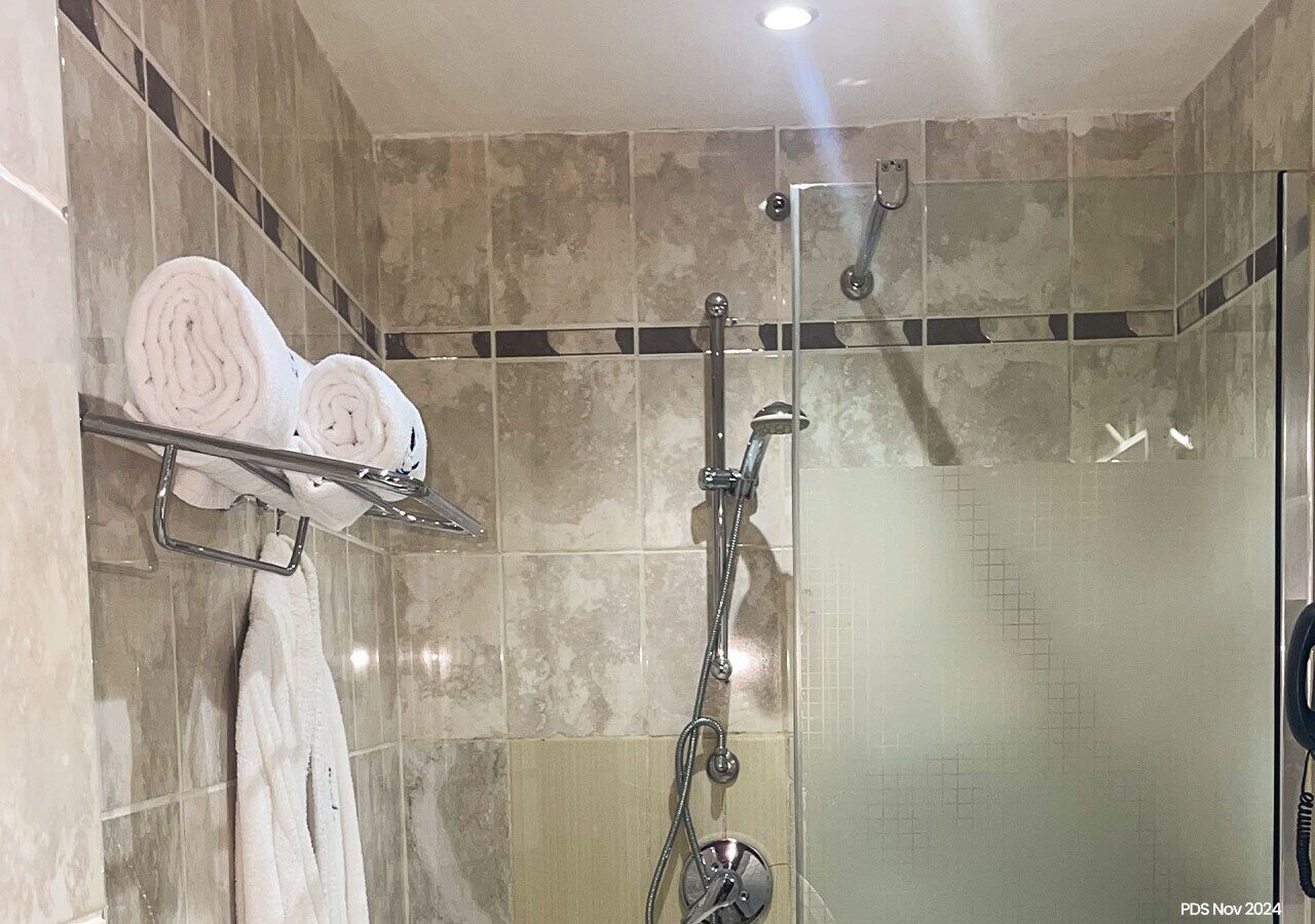 Combined shower/bathtub, hair dryer, soap, shampoo