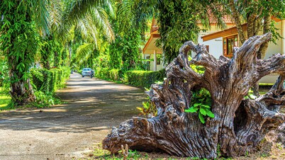 Villa Empire 1 All-Inclusive