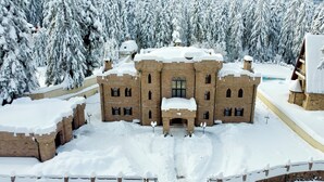 A large, castle-like building with multiple towers and a central entrance, surrounded by snow-covered trees. - The Castle - Your unique way of retreat (Samokov)