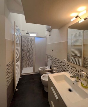 Regadera, secadora de cabello, bidet, toallas 