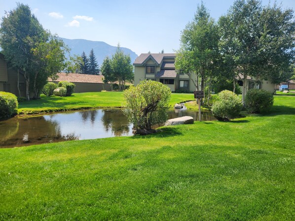 Una zona residencial con un estanque, céspedes cuidados y casas con tejados inclinados.
